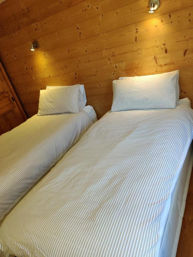 Spacious Ski Chalet In Traditional French Village, Sleeps 8, Four Star With Fibre Broadband アボンダンス エクステリア 写真
